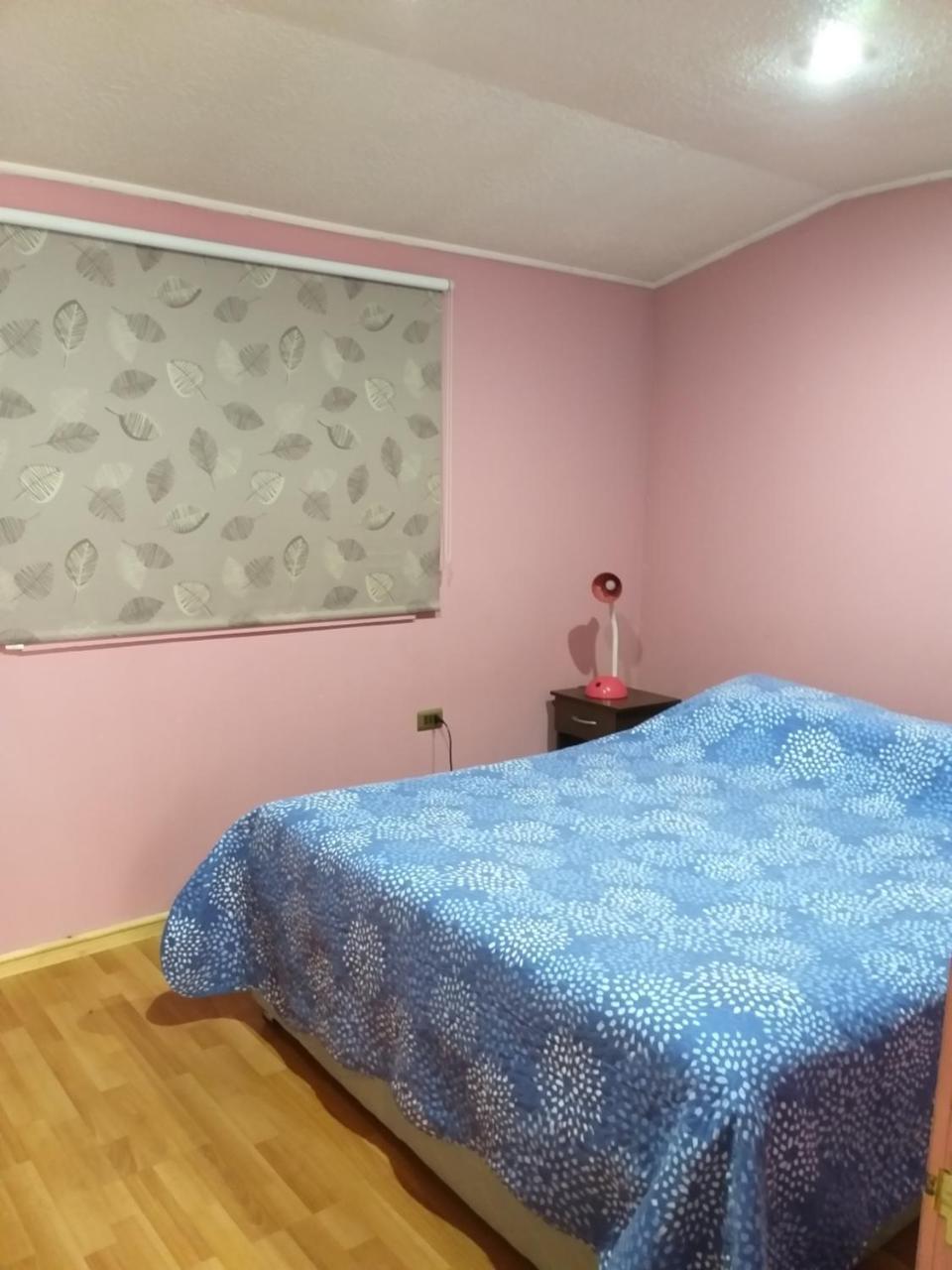Cabanas Sur Del Mundo Appartement Coyhaique Buitenkant foto