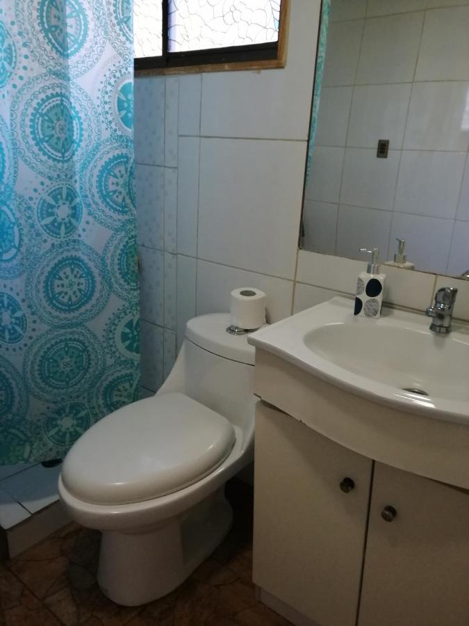 Cabanas Sur Del Mundo Appartement Coyhaique Buitenkant foto